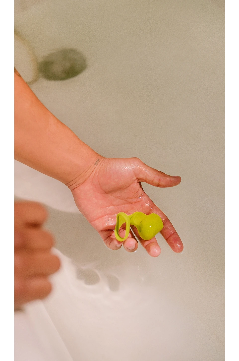 Fin Citrus - Image 5