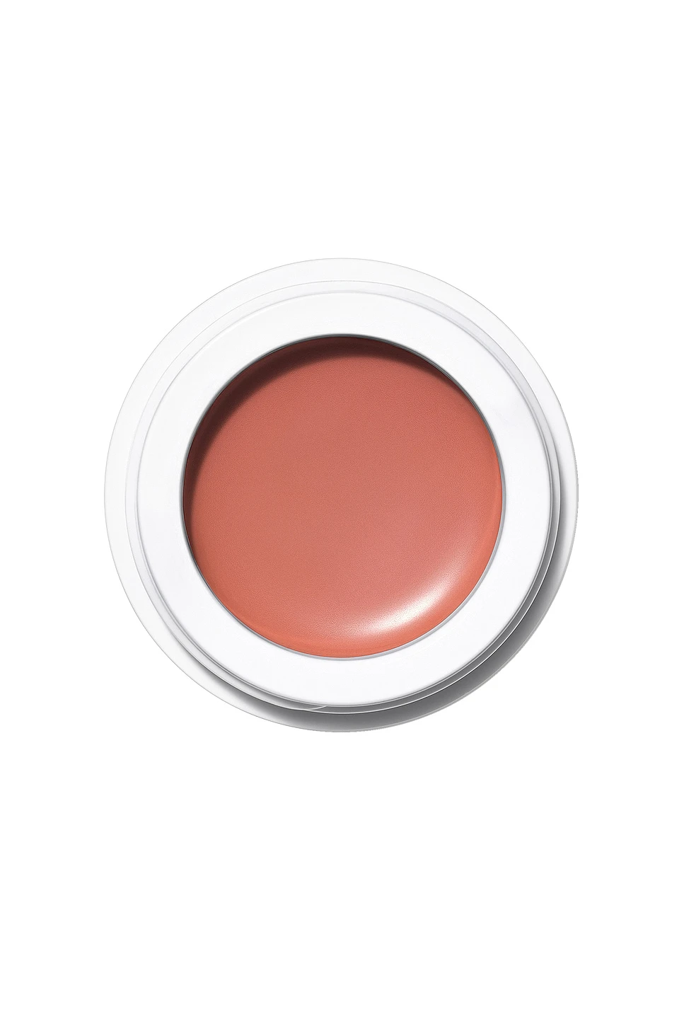 All Over Colour Gazania